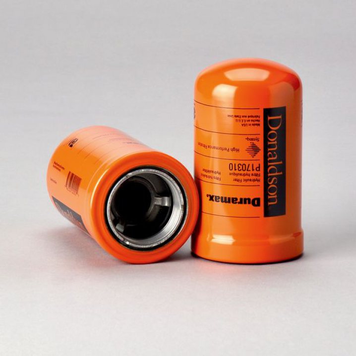 P170310 oil filter