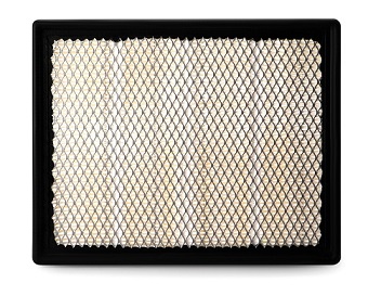 AF25636 air filter element