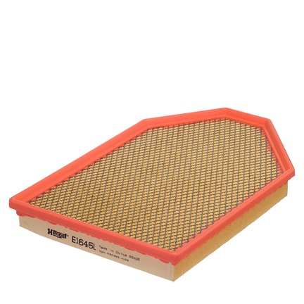 E1646L air filter element