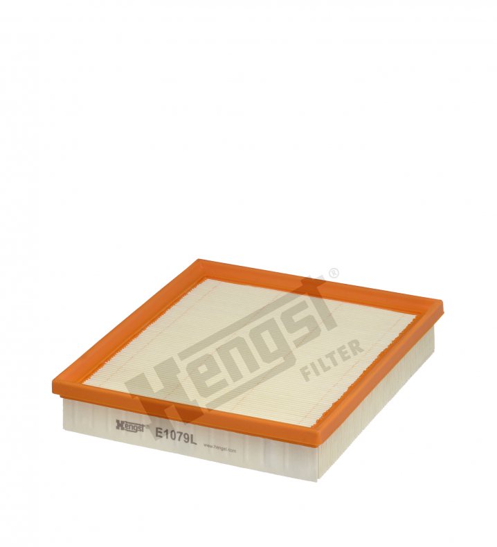 E1079L air filter element