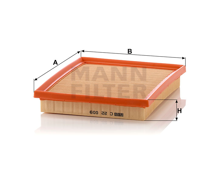 C 22 009 air filter element