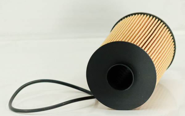 SO 6224 oil filter element