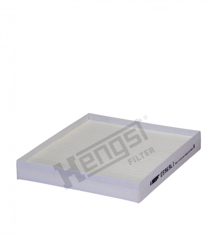 E5969LI cabin air filter element
