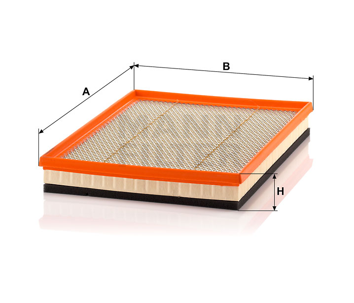 C 4019 air filter element