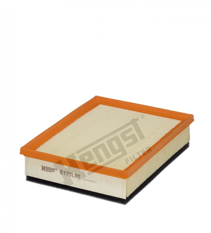 E173L01 air filter element