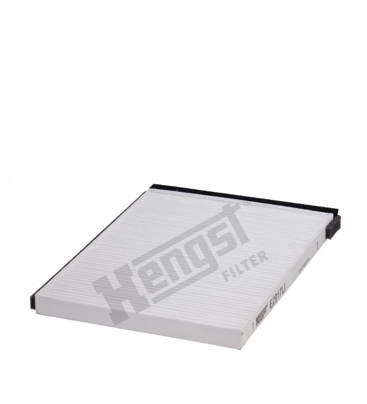 E2917LI cabin air filter element