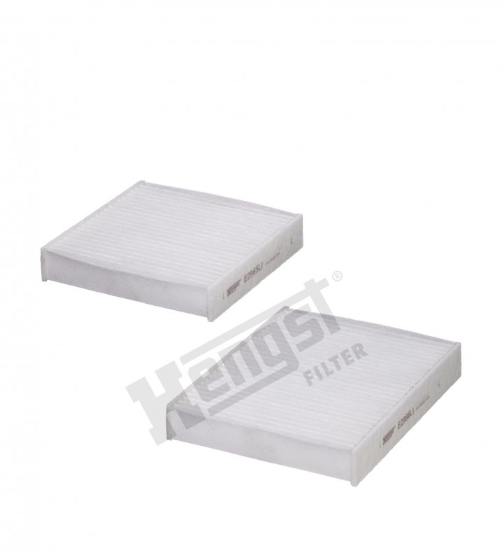 E2967LI-2 cabin air filter element