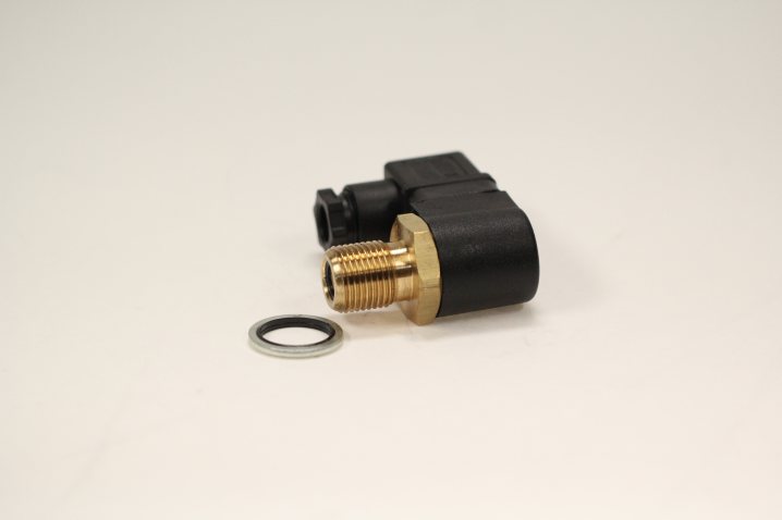 P761056 maintenance switch (electric)