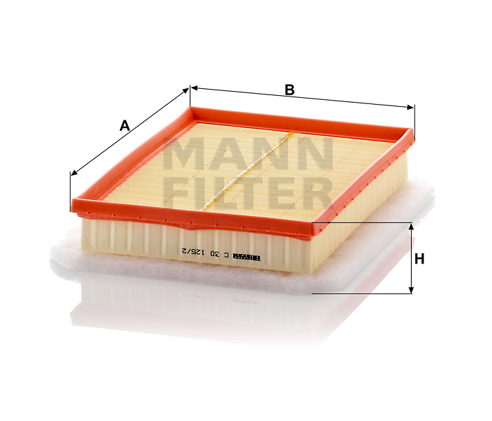 C 30 125/2 air filter element