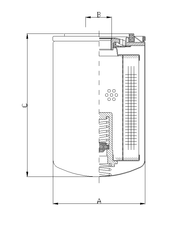 A220G06BM oil filter (spin-on)