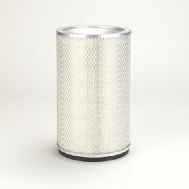 P124366 air filter element (secondary)