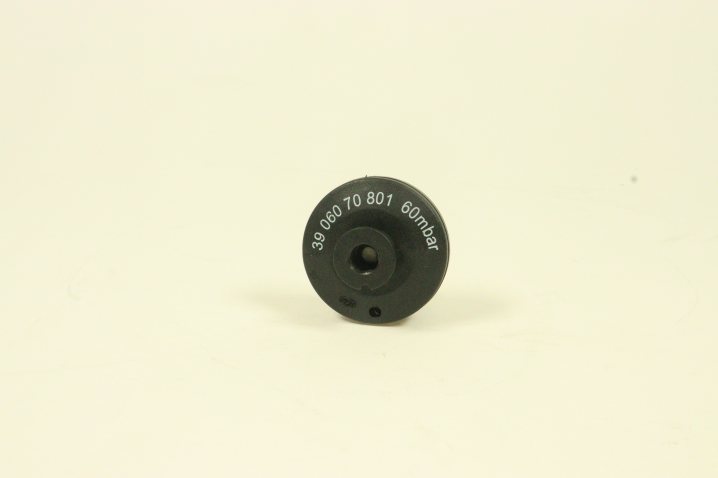 39 060 70 801 maintenance switch, 60mbar