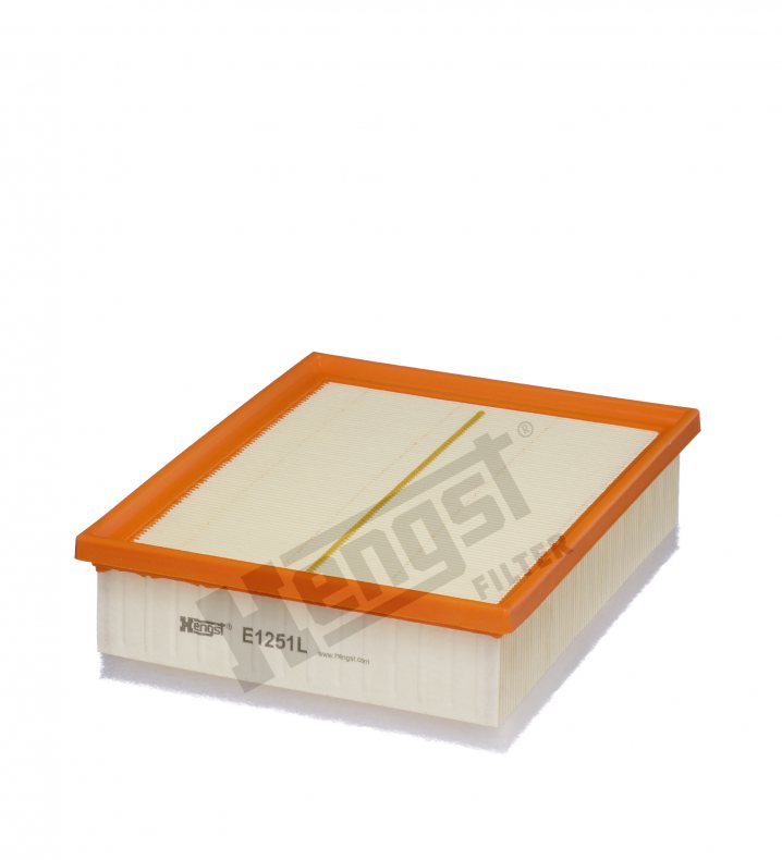 E1251L air filter element