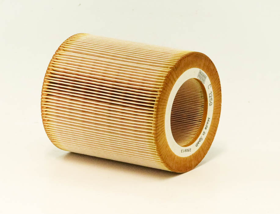 C 1250 air filter element