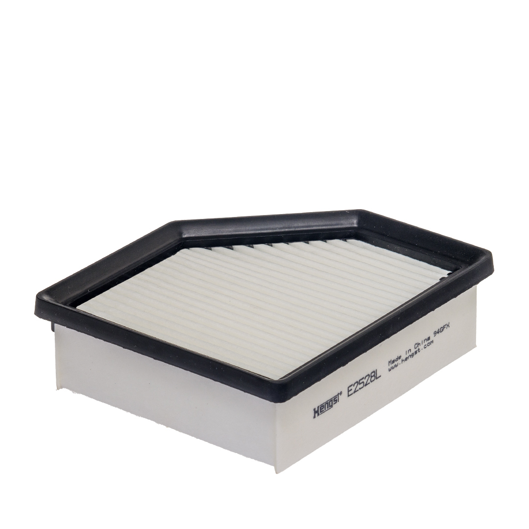 E2528L air filter element