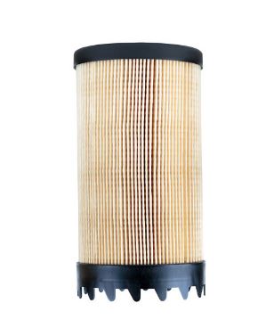 FS20221 fuel filter element